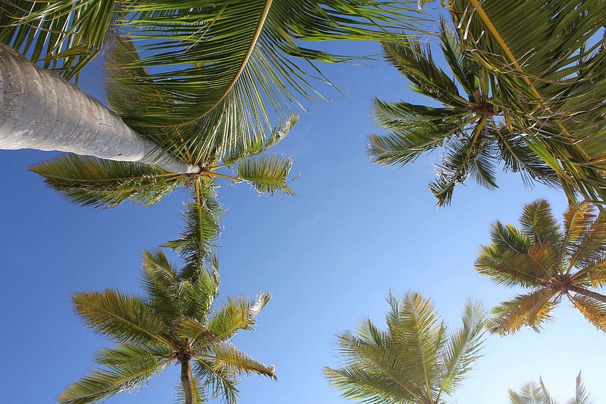 Electronic Invoicing in the Dominican Republic: Phased Rollout, DGII Standards, and Compliance Mechanisms