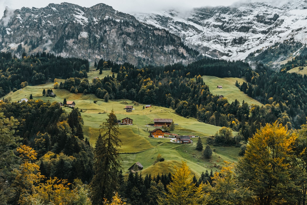 Switzerland VAT guide 2024 VATupdate