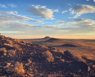 New Mexico