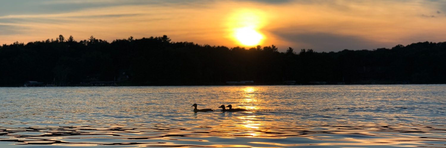 Minnesota
