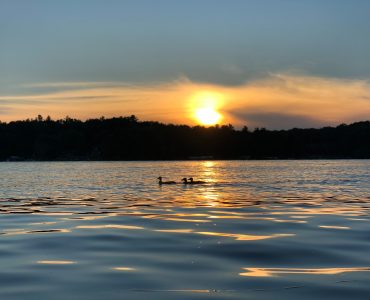 Minnesota