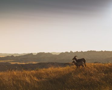 South Dakota