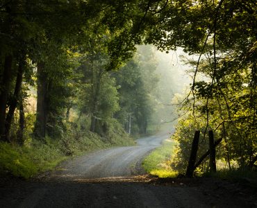 Virginia
