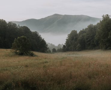 Tennessee