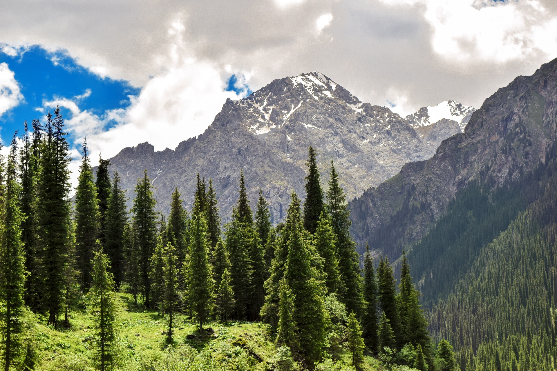 VATupdate VAT GST kazakhstan