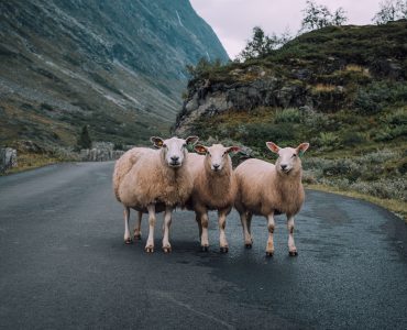 Norway