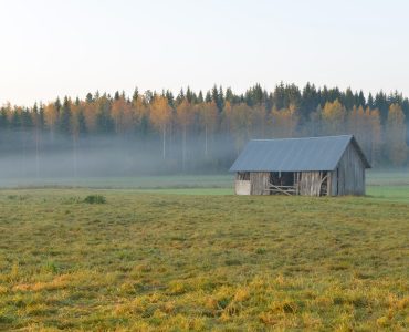 Finland
